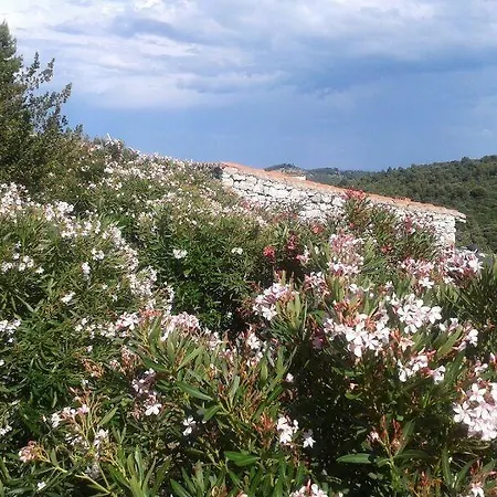 Paradiso Selvaggio