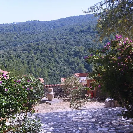 Paradiso Selvaggio 5*