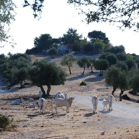 Paradiso Selvaggio